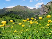 PASSO-LAGO-RIF. BRANCHINO con ANTICIMA sud Corno Branchino (1917 m)-23giu25- FOTOGALLERY